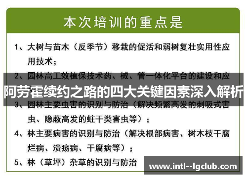 阿劳霍续约之路的四大关键因素深入解析