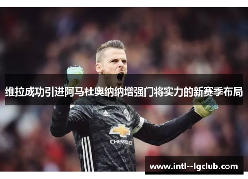 维拉成功引进阿马杜奥纳纳增强门将实力的新赛季布局