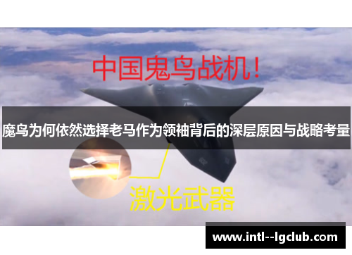 魔鸟为何依然选择老马作为领袖背后的深层原因与战略考量 魔鸟为何依然选择老马作为领袖背后的深层原因与战略考量
